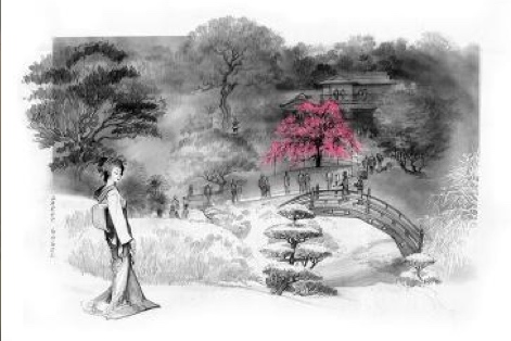 set Design