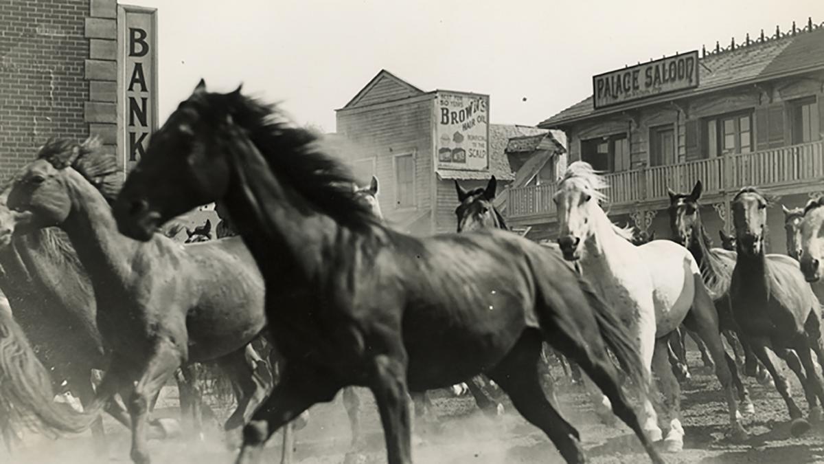 Sony Pictures Museum Desperadoes, The