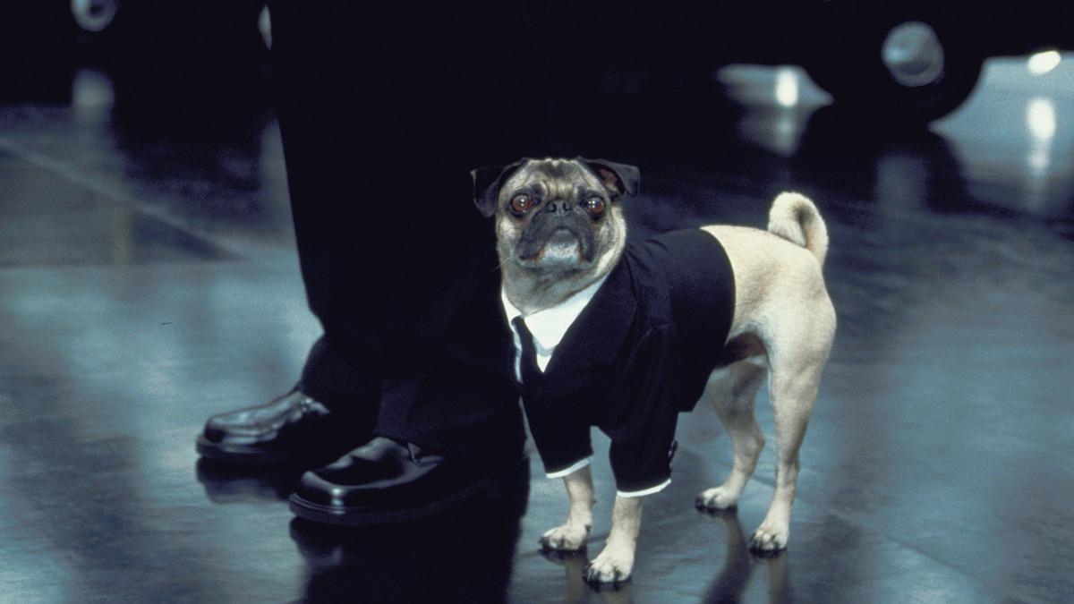 Sony Pictures Museum Men In Black II
