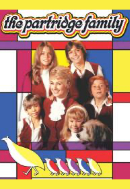 Partridge Family, The